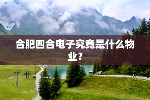 合肥四合电子究竟是什么物业？