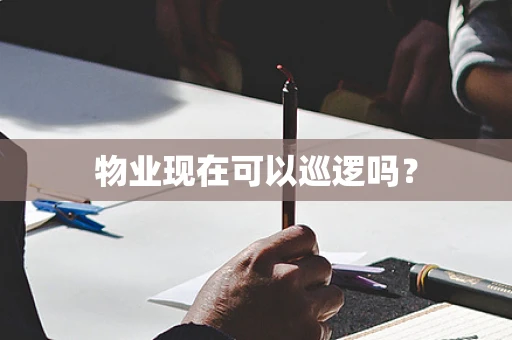 物业现在可以巡逻吗？