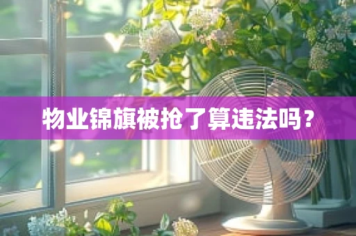 物业锦旗被抢了算违法吗？