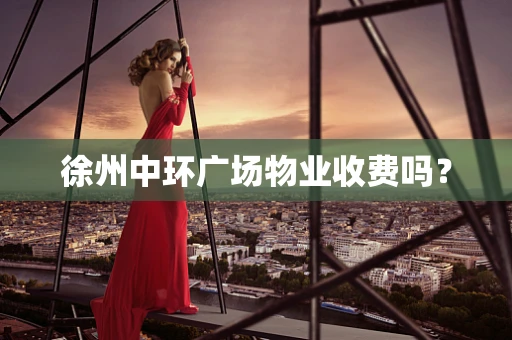 徐州中环广场物业收费吗？