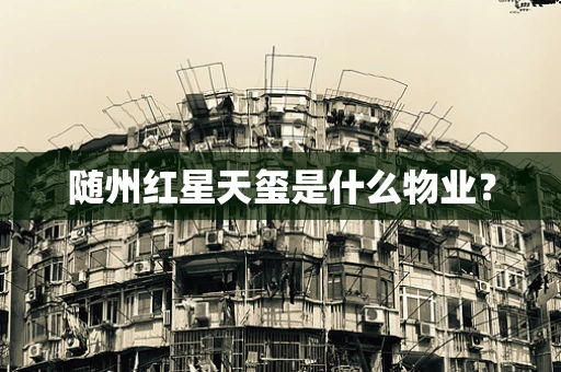 随州红星天玺是什么物业？