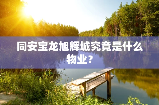 同安宝龙旭辉城究竟是什么物业？