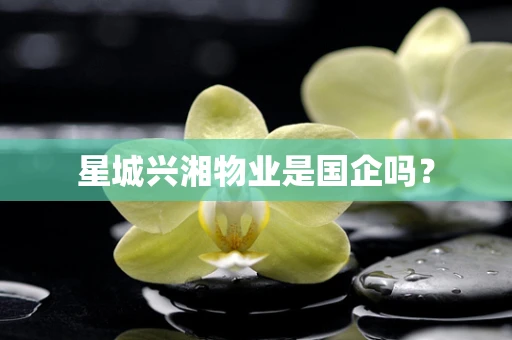 星城兴湘物业是国企吗？