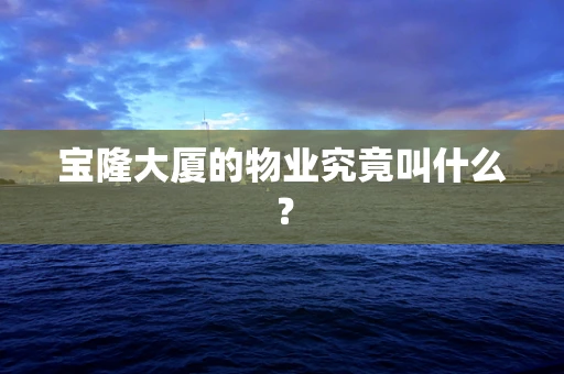 宝隆大厦的物业究竟叫什么？