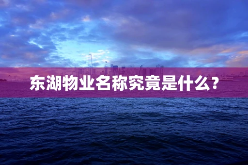 东湖物业名称究竟是什么？