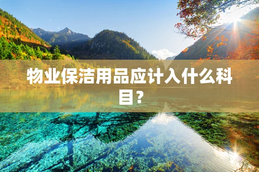 物业保洁用品应计入什么科目？