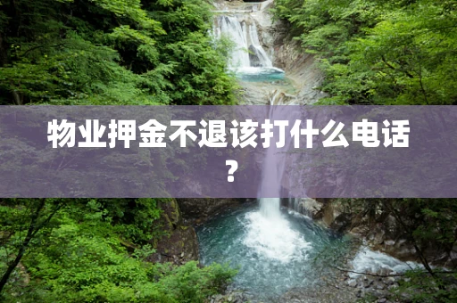 物业押金不退该打什么电话？