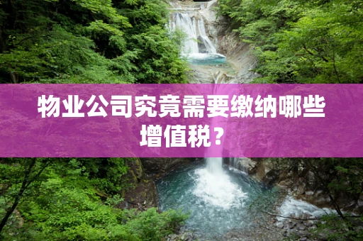 物业公司究竟需要缴纳哪些增值税？