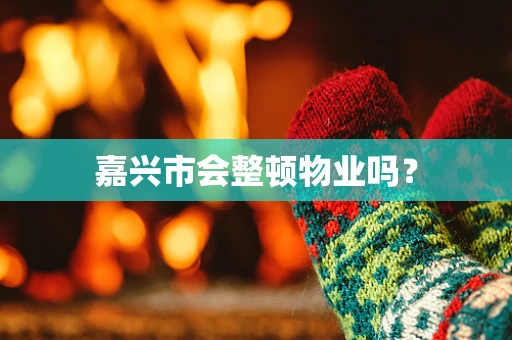 嘉兴市会整顿物业吗？