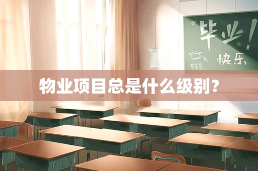 物业项目总是什么级别？
