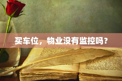 买车位，物业没有监控吗？
