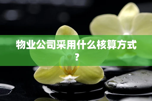 物业公司采用什么核算方式？