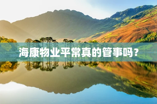 海康物业平常真的管事吗？