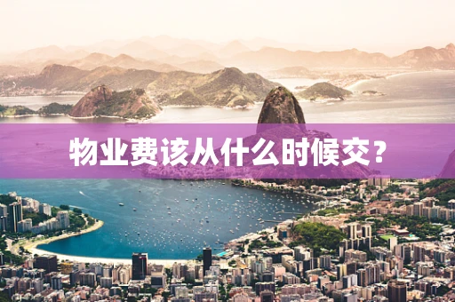 物业费该从什么时候交？