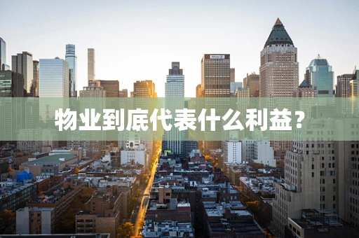 物业到底代表什么利益？