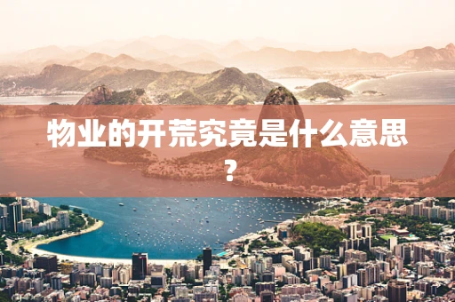 物业的开荒究竟是什么意思？