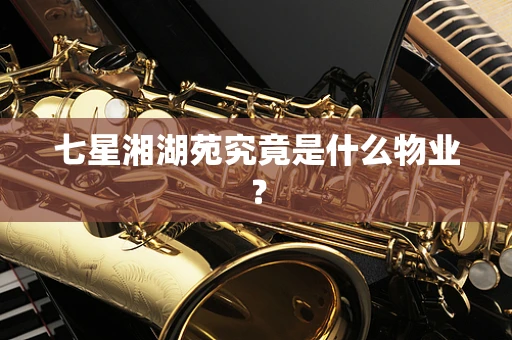 七星湘湖苑究竟是什么物业？