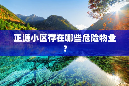 正源小区存在哪些危险物业？