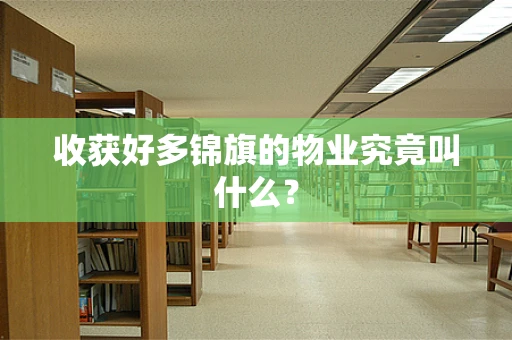 收获好多锦旗的物业究竟叫什么？
