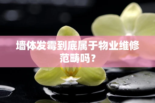 墙体发霉到底属于物业维修范畴吗？