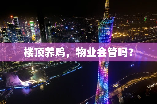 楼顶养鸡，物业会管吗？