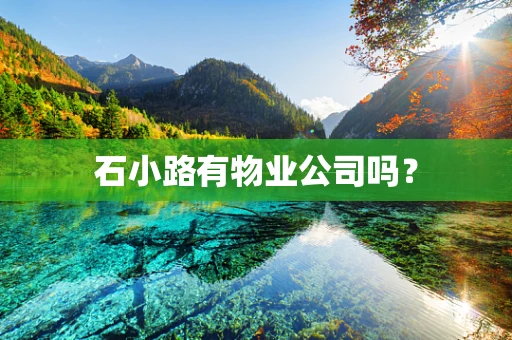 石小路有物业公司吗？