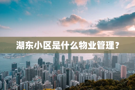 湖东小区是什么物业管理？