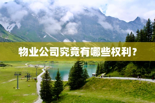 物业公司究竟有哪些权利？