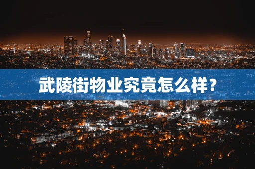 武陵街物业究竟怎么样？