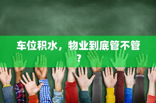 车位积水，物业到底管不管？