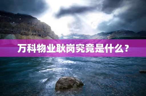 万科物业耿岗究竟是什么？