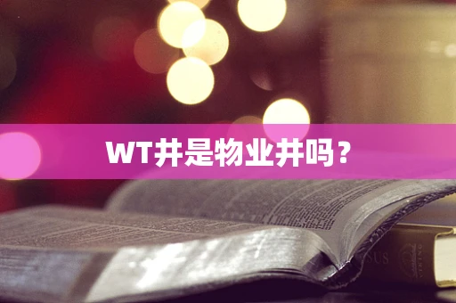 WT井是物业井吗？