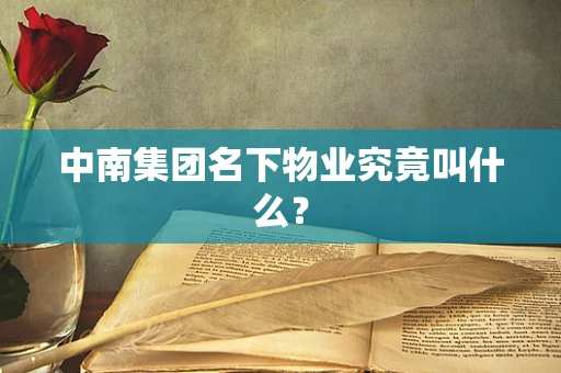 中南集团名下物业究竟叫什么？