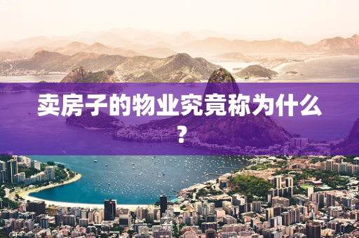 卖房子的物业究竟称为什么？