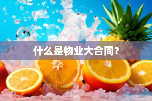 什么是物业大合同？