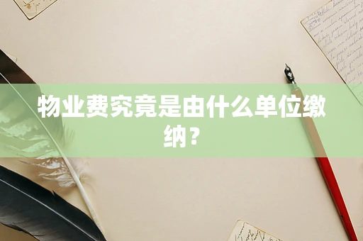 物业费究竟是由什么单位缴纳？
