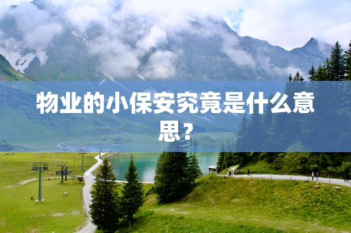物业的小保安究竟是什么意思？