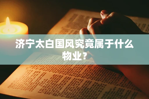 济宁太白国风究竟属于什么物业？