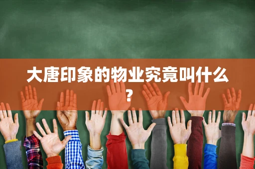大唐印象的物业究竟叫什么？
