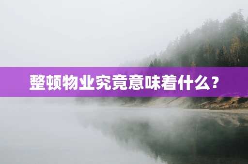 整顿物业究竟意味着什么？