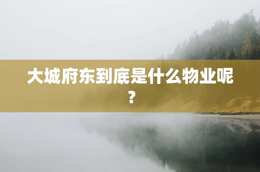 大城府东到底是什么物业呢？