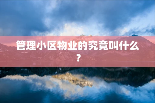 管理小区物业的究竟叫什么？