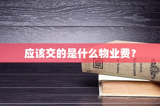 应该交的是什么物业费？