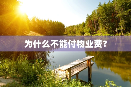为什么不能付物业费？
