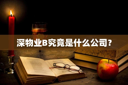 深物业B究竟是什么公司？