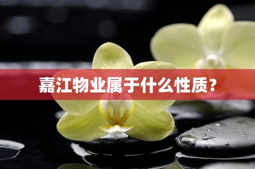 嘉江物业属于什么性质？
