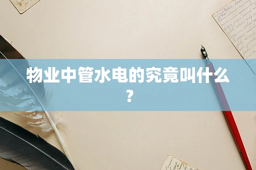 物业中管水电的究竟叫什么？