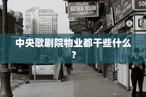 中央歌剧院物业都干些什么？