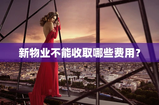 新物业不能收取哪些费用？