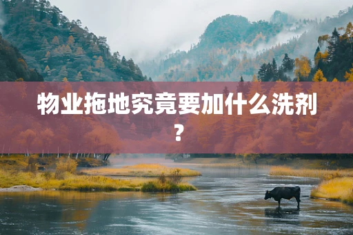 物业拖地究竟要加什么洗剂？